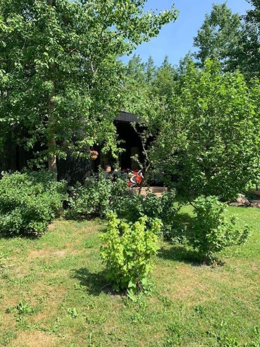 Small Cozy 3-Room House With Terrace & Large Garden Ilmandu 외부 사진